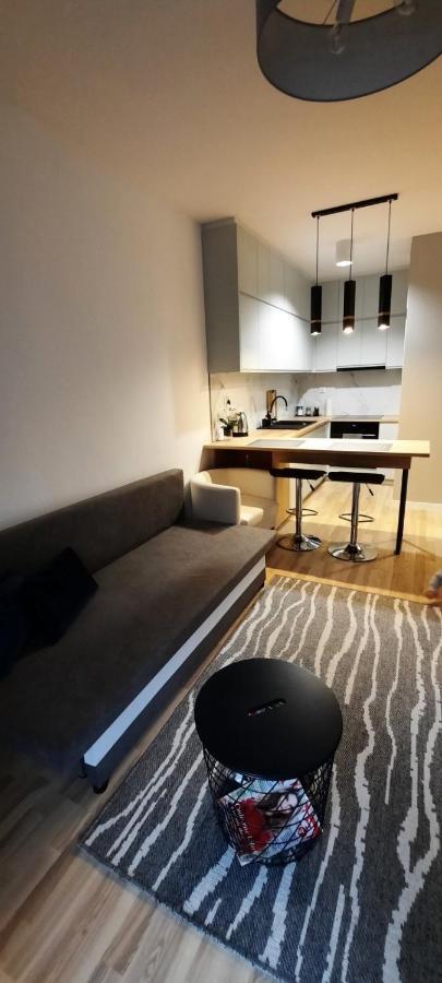 Apartament Wiosenna Білосток Екстер'єр фото